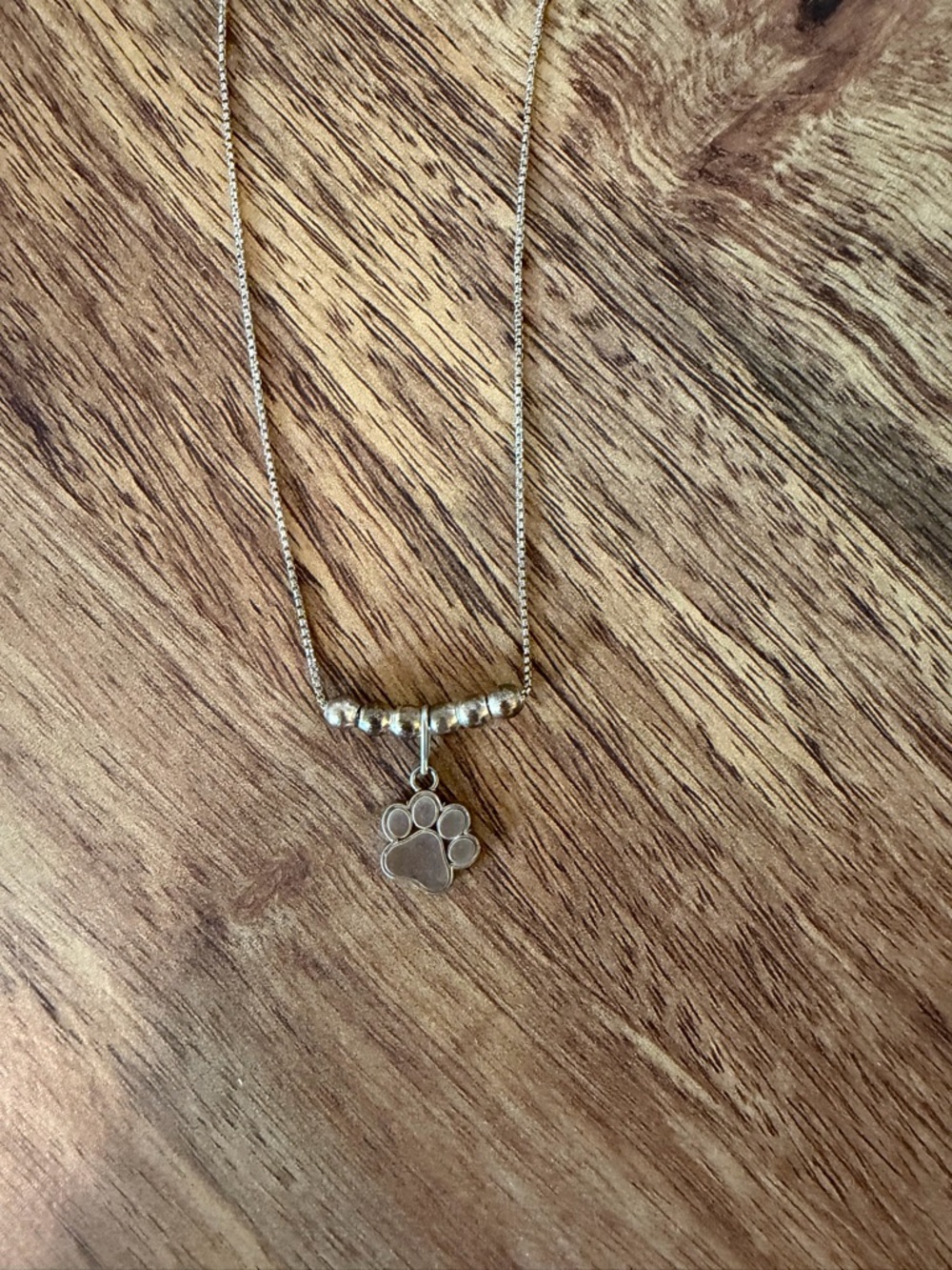 Alex and Ani Silver Paw Print Bar Necklace